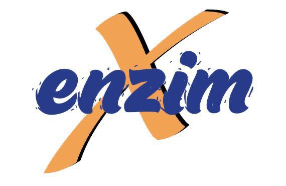 Enzim